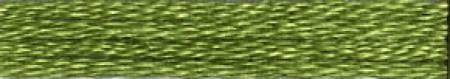 Embroidery Floss By Cosmo Lecien Corporation - Green Colorway | Red Thread Studio