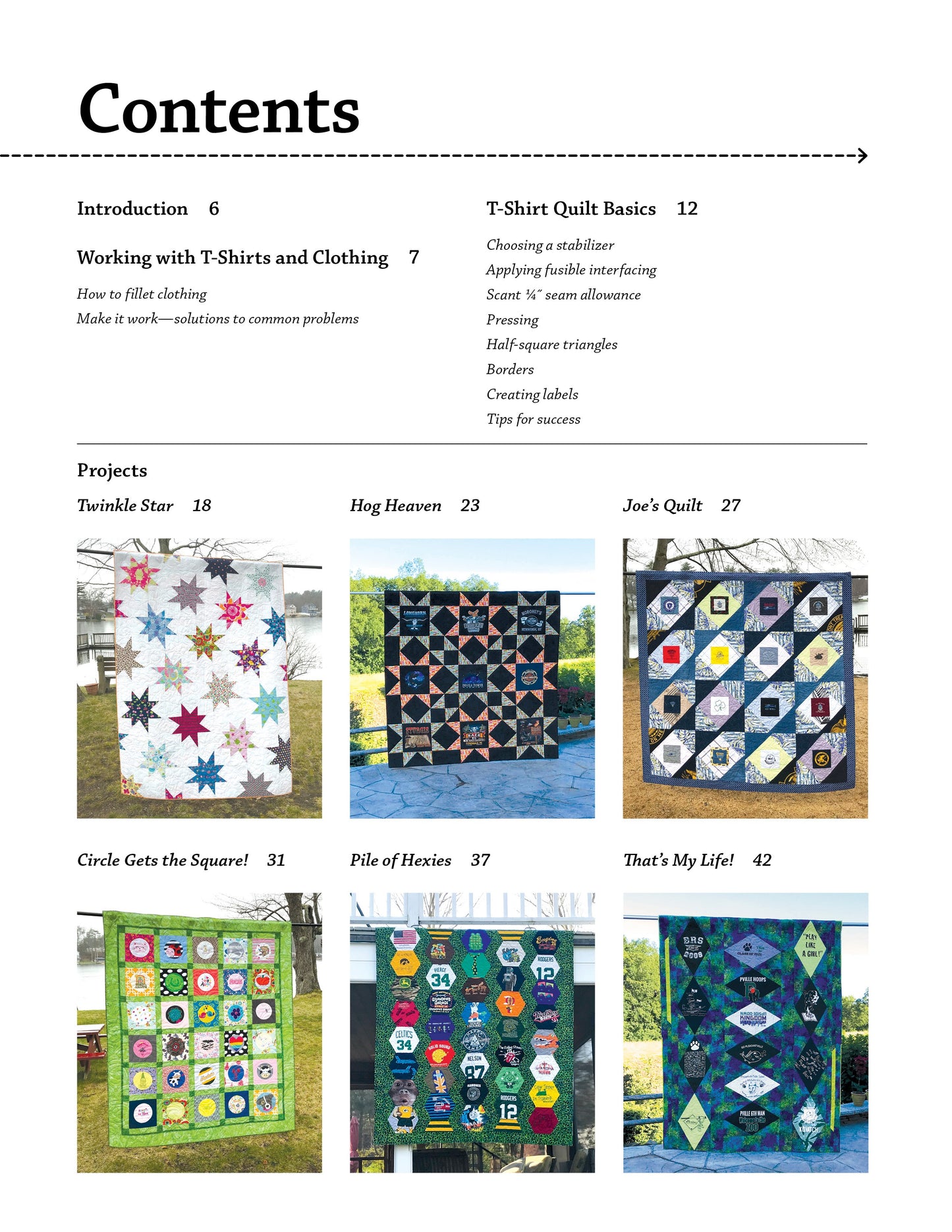 Beyond the Tee - Innovative T-Shirt Quilts - by Mary Cannizzaro and Jen Cannizzaro