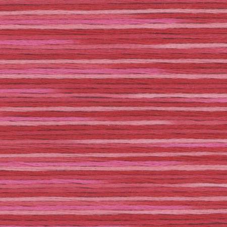 Seasons Variegated Embroidery Floss (5000 series) By Cosmo Lecien Corporation | Red Thread Studio