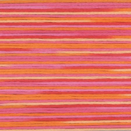 Seasons Variegated Embroidery Floss (5000 series) By Cosmo Lecien Corporation | Red Thread Studio