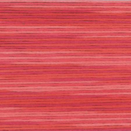 Seasons Variegated Embroidery Floss (5000 series) By Cosmo Lecien Corporation | Red Thread Studio