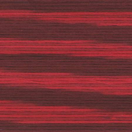 Seasons Variegated Embroidery Floss (5000 series) By Cosmo Lecien Corporation | Red Thread Studio