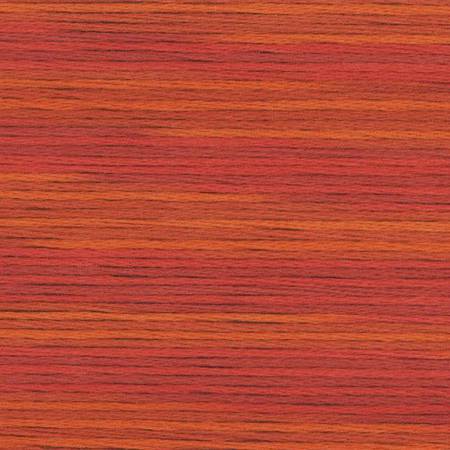 Seasons Variegated Embroidery Floss (5000 series) By Cosmo Lecien Corporation | Red Thread Studio