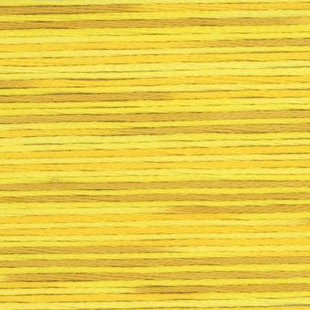 Seasons Variegated Embroidery Floss (5000 series) By Cosmo Lecien Corporation | Red Thread Studio