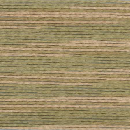 Seasons Variegated Embroidery Floss (5000 series) By Cosmo Lecien Corporation | Red Thread Studio