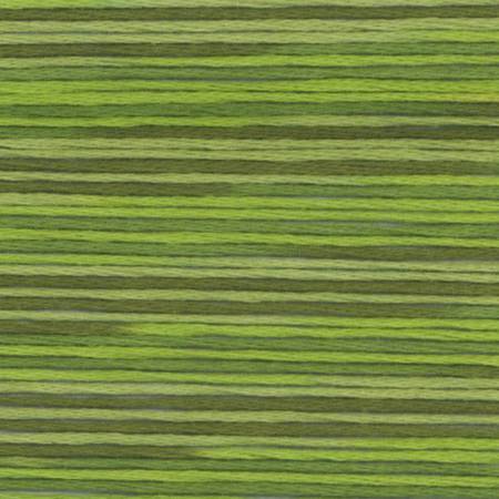 Seasons Variegated Embroidery Floss (5000 series) By Cosmo Lecien Corporation | Red Thread Studio