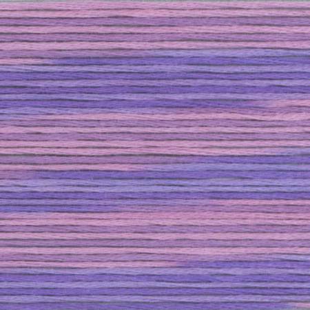 Seasons Variegated Embroidery Floss (5000 series) By Cosmo Lecien Corporation | Red Thread Studio