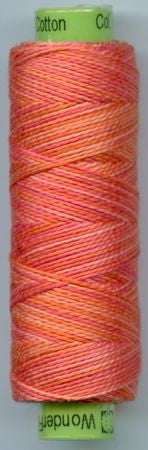 Sue Spargo Collection - Eleganza Perle Cotton Size 8 - Variegated