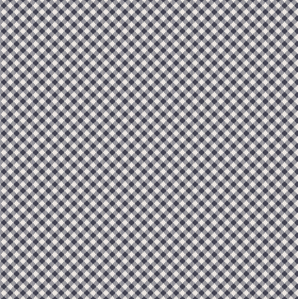 Les Petits Collection by Amy Sinibaldi for Art Gallery Fabrics - LEP 912 Petits Checks Midnight