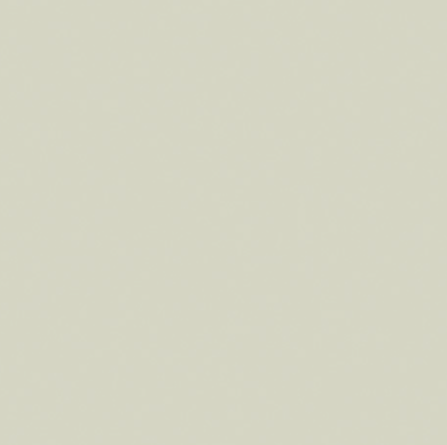 Pure Solids by Art Gallery Fabrics - PE-419 Light Grey