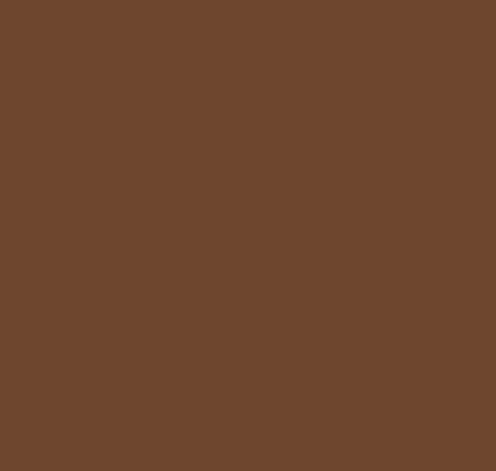 Pure Solids by Art Gallery Fabrics - PE-551 Teak