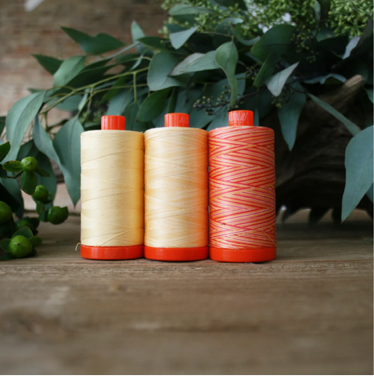 Aurifil Color Builders - Thread Club **REGISTRATION FEE ONLY** SOLD OUT