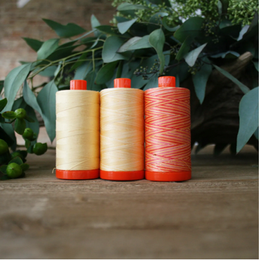 Aurifil 2022 Color Builders - Thread Club **start anytime** – Red Thread  Studio