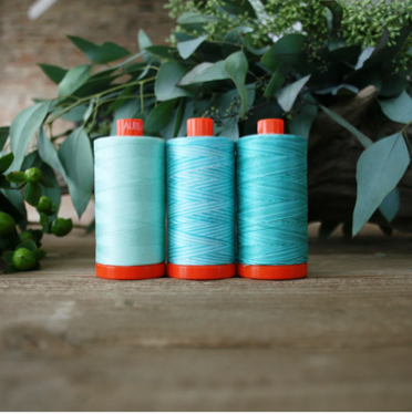Aurifil Color Builders - Thread Club **REGISTRATION FEE ONLY** SOLD OUT