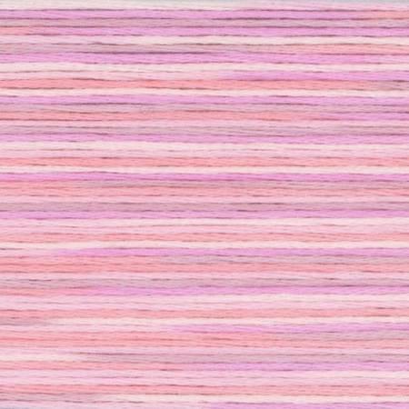 Seasons Variegated Embroidery Floss (5000 series) By Cosmo Lecien Corporation | Red Thread Studio