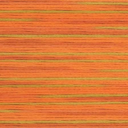 Seasons Variegated Embroidery Floss (5000 series) By Cosmo Lecien Corporation | Red Thread Studio
