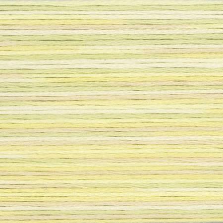 Seasons Variegated Embroidery Floss (5000 series) By Cosmo Lecien Corporation | Red Thread Studio