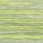 Seasons Variegated Embroidery Floss (5000 series) By Cosmo Lecien Corporation | Red Thread Studio
