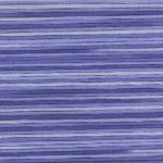Seasons Variegated Embroidery Floss (5000 series) By Cosmo Lecien Corporation | Red Thread Studio