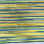 Seasons Variegated Embroidery Floss (5000 series) By Cosmo Lecien Corporation | Red Thread Studio