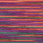 Seasons Variegated Embroidery Floss (5000 series) By Cosmo Lecien Corporation | Red Thread Studio
