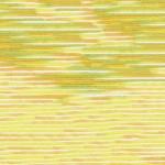 Seasons Variegated Embroidery Floss (5000 series) By Cosmo Lecien Corporation | Red Thread Studio