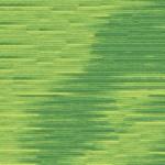 Seasons Variegated Embroidery Floss (5000 series) By Cosmo Lecien Corporation | Red Thread Studio