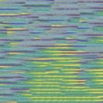 Seasons Variegated Embroidery Floss (5000 series) By Cosmo Lecien Corporation | Red Thread Studio