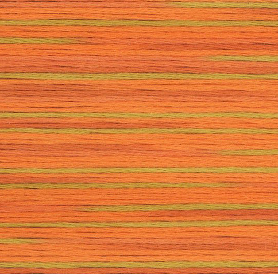 Seasons Variegated Embroidery Floss (5000 series) By Cosmo Lecien Corporation | Red Thread Studio