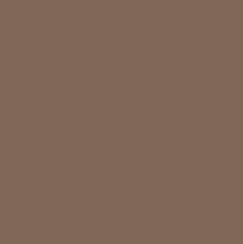 Pure Solids by Art Gallery Fabrics - PE-581 Nutmeg