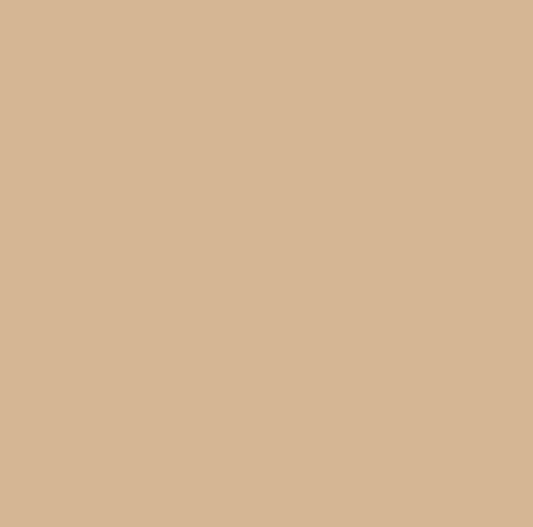 Pure Solids by Art Gallery Fabrics - PES-909 Ginger