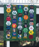 Beyond the Tee - Innovative T-Shirt Quilts - by Mary Cannizzaro and Jen Cannizzaro