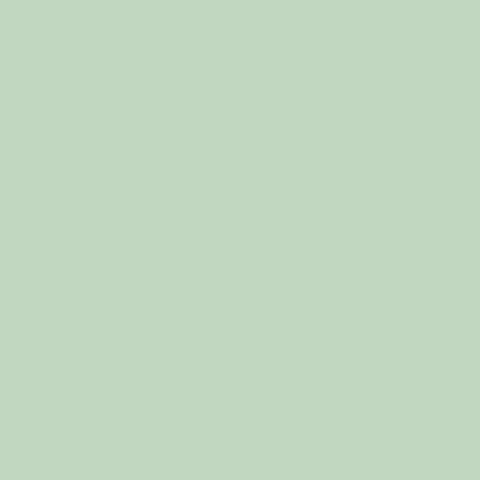 Pure Solids by Art Gallery Fabrics - PE-412 Tender Green