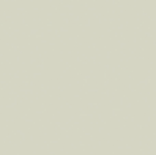 Pure Solids by Art Gallery Fabrics - PE-419 Light Grey