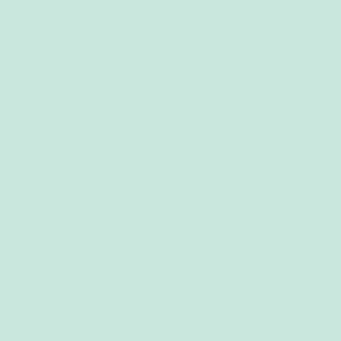 Pure Solids by Art Gallery Fabrics - PE-451 Icy Mint