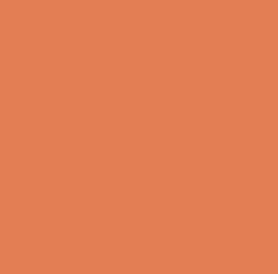 Pure Solids by Art Gallery Fabrics - PE-457 Dried Carrot