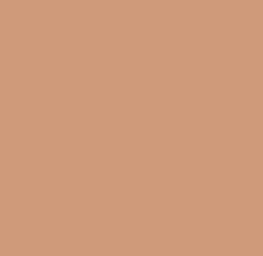 Pure Solids by Art Gallery Fabrics - PE-458 Toasty Walnut
