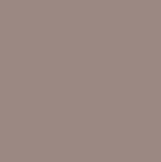 Pure Solids by Art Gallery Fabrics - PE-507 Potter's Clay