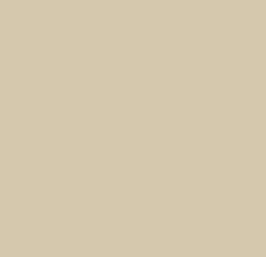 Pure Solids by Art Gallery Fabrics - PE-523 Latte