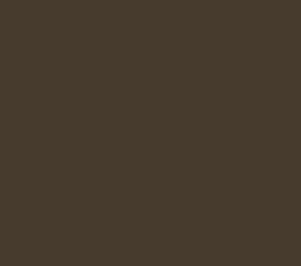 Pure Solids by Art Gallery Fabrics - PE-524 Vintage Walnut