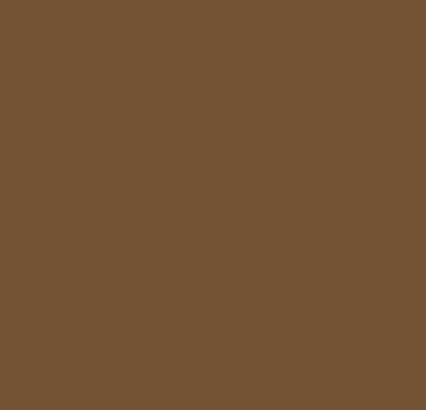 Pure Solids by Art Gallery Fabrics - PE-525 English Toffee
