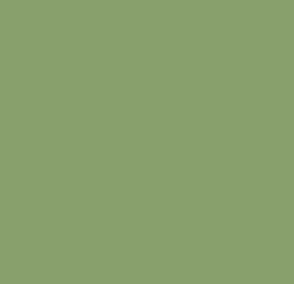 Pure Solids by Art Gallery Fabrics - PE-542 Asparagus