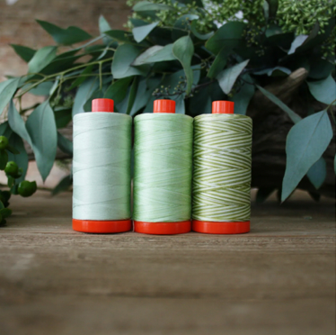 Aurifil Color Builders - Thread Club **REGISTRATION FEE ONLY** SOLD OUT