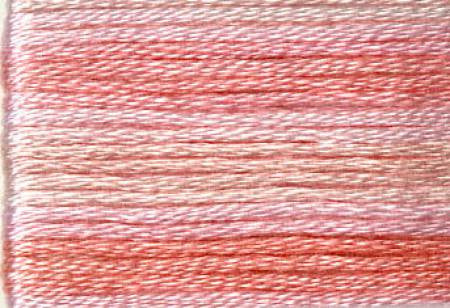 Seasons Variegated Embroidery Floss (8000 series) By Cosmo Lecien Corporation | Red Thread Studio