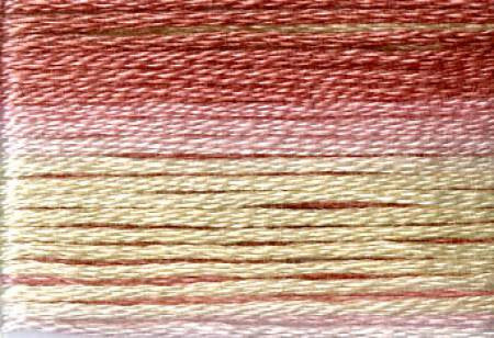 Seasons Variegated Embroidery Floss (8000 series) By Cosmo Lecien Corporation | Red Thread Studio