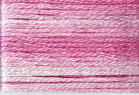 Seasons Variegated Embroidery Floss (8000 series) By Cosmo Lecien Corporation | Red Thread Studio