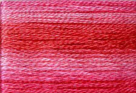 Seasons Variegated Embroidery Floss (8000 series) By Cosmo Lecien Corporation | Red Thread Studio