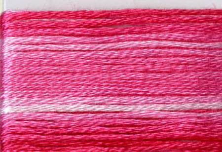 Seasons Variegated Embroidery Floss (8000 series) By Cosmo Lecien Corporation | Red Thread Studio