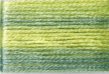 Seasons Variegated Embroidery Floss (8000 series) By Cosmo Lecien Corporation | Red Thread Studio