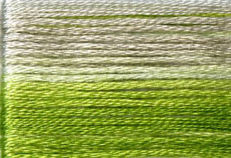 Seasons Variegated Embroidery Floss (8000 series) By Cosmo Lecien Corporation | Red Thread Studio